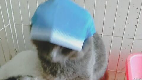 国产护士精品视频,护理技能与人文关怀的完美融合