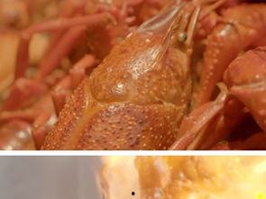 国产虾广告视频