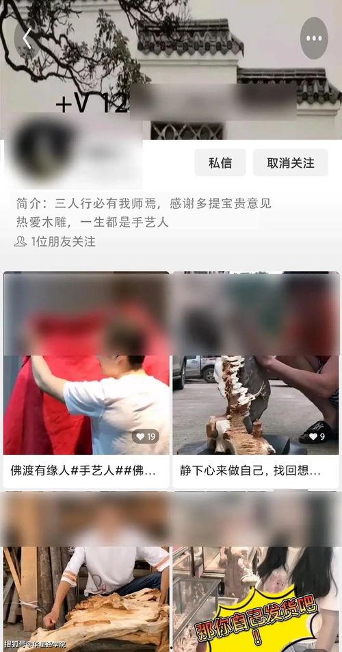 国产沈阳视频种子,探寻东北风情与时代变迁的种子之旅