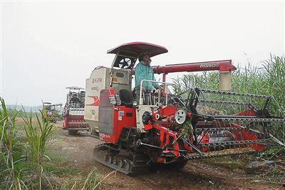 国产收割机转场视频大全,见证农业现代化进程