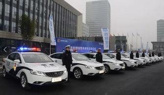 国产车警察涂装视频播放